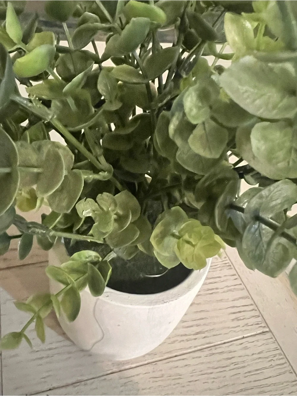 Artificial Eucalyptus Plant in Marble Pot